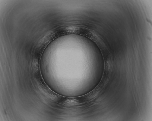 X0000103330557200809121213