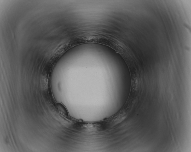 X0000103330558200809121213