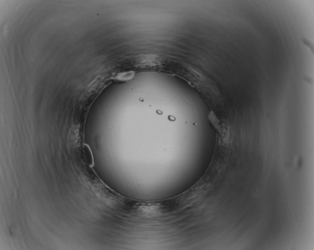 X0000103330560200809121213