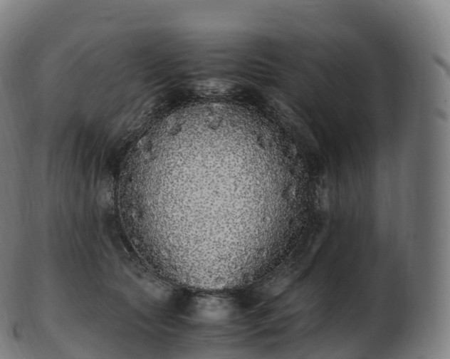 X0000103330561200809121213