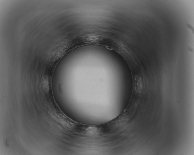 X0000103330562200809121213