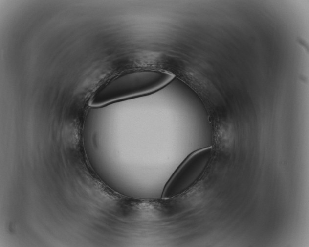 X0000103330566200809121213