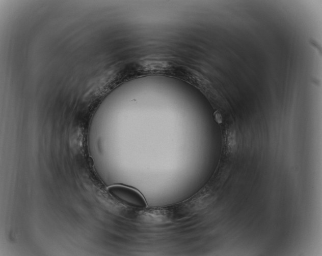 X0000103330567200809121213