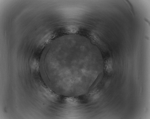 X0000103330568200809121213