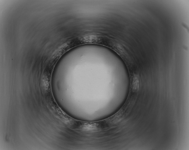 X0000103330569200809121213