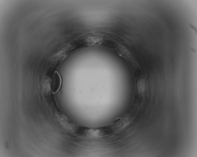 X0000103330570200809121213