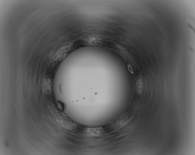 X0000103330571200809121213