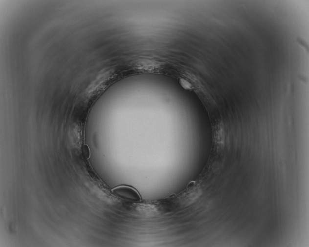 X0000103330572200809121213