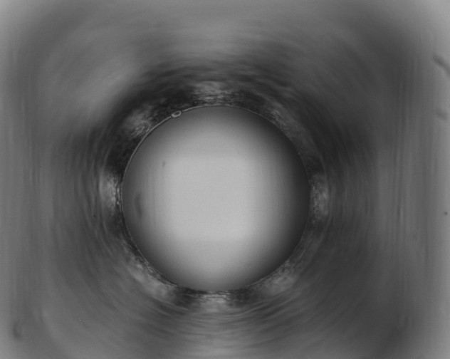 X0000103330574200809121213