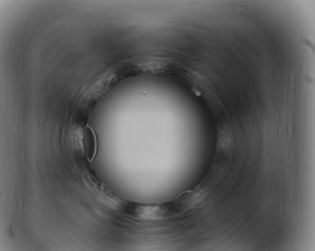 X0000103330575200809121213