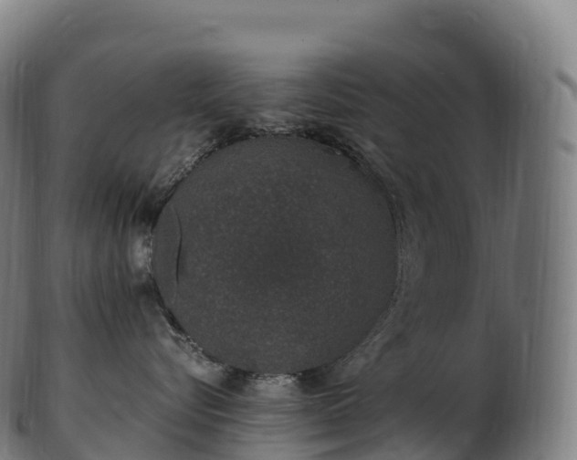 X0000103330576200809121213