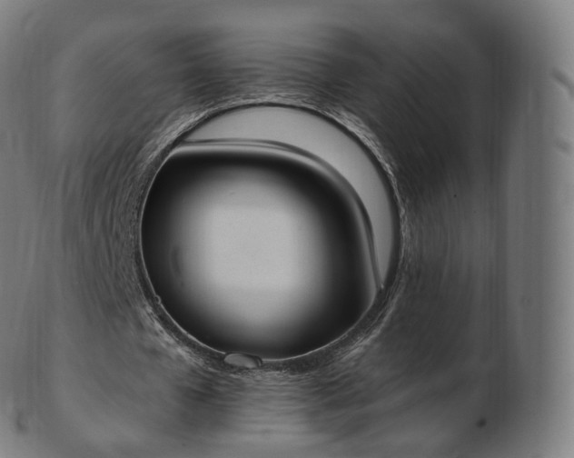 X0000103330577200809121212