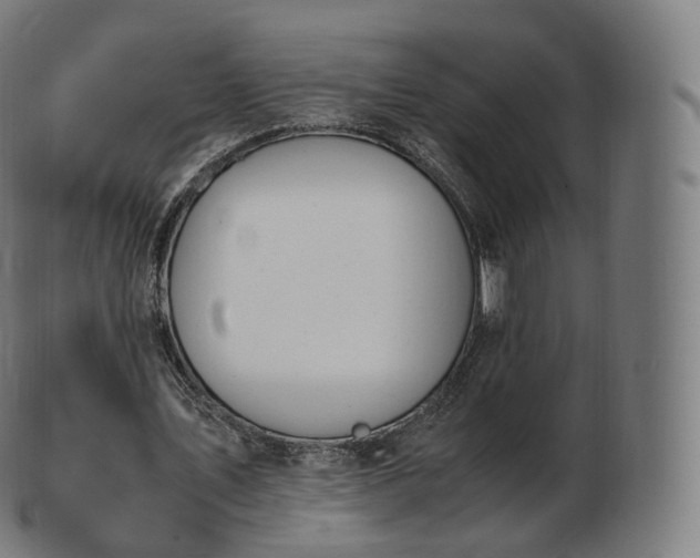 X0000103330579200809121212