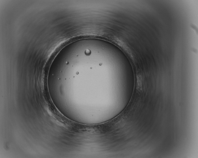 X0000103330580200809121212