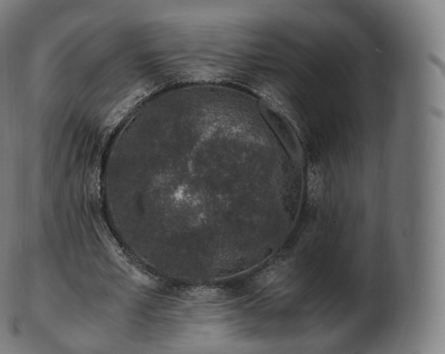 X0000103330581200809121212