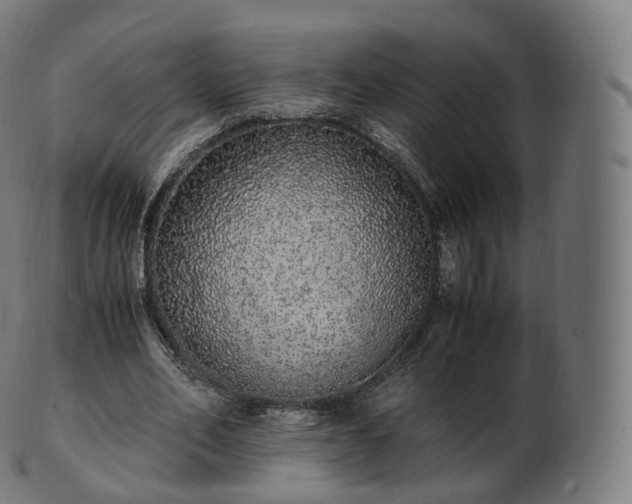 X0000103330582200809121212