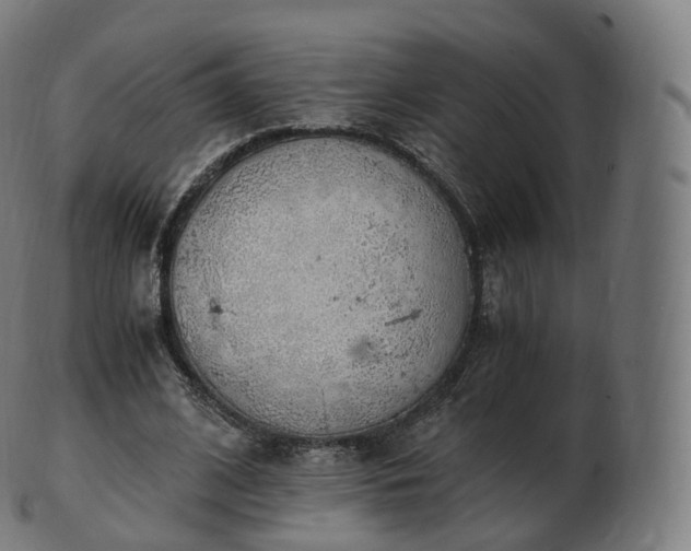 X0000103330584200809121212