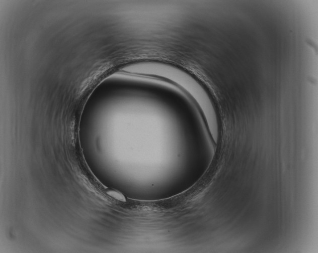 X0000103330585200809121212