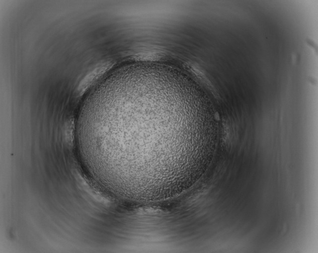 X0000103330586200809121212