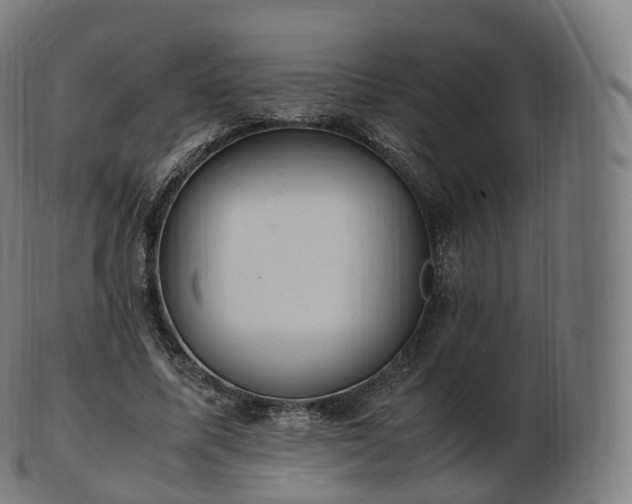 X0000103330587200809121212