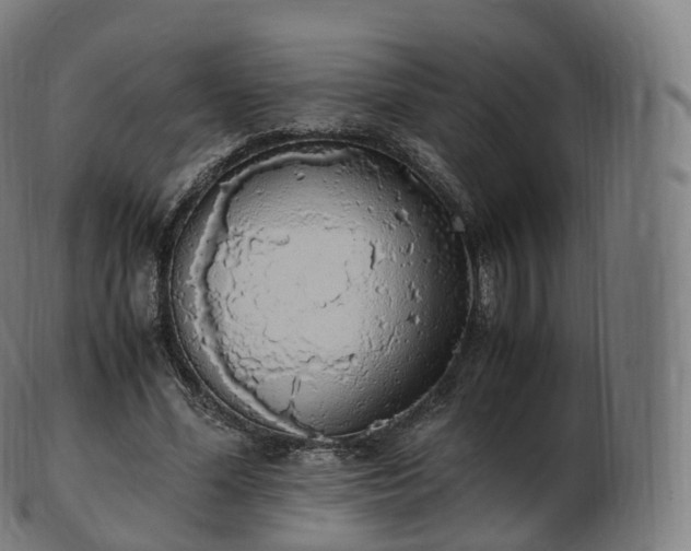 X0000103330588200809121212