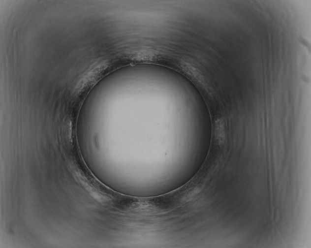 X0000103330589200809121212