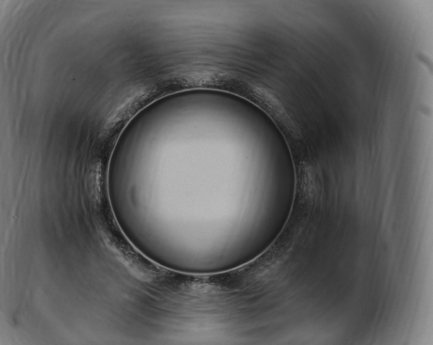 X0000103330590200809121212