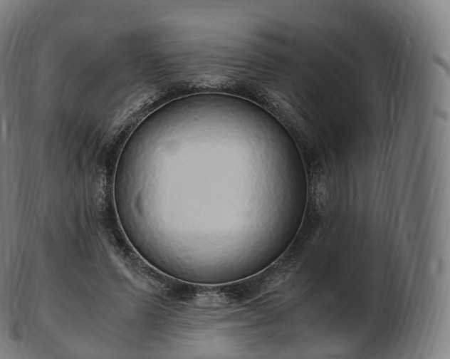 X0000103330591200809121212