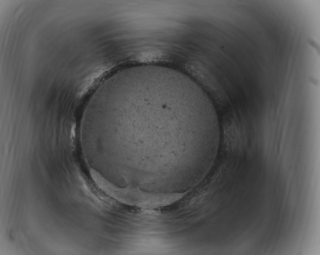 X0000103330592200809121212