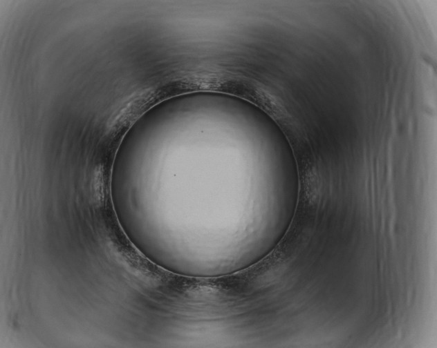 X0000103330594200809121212