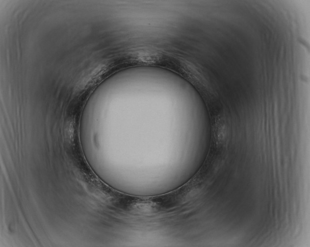 X0000103330595200809121212