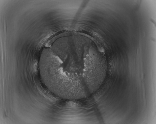 X0000103330596200809121212