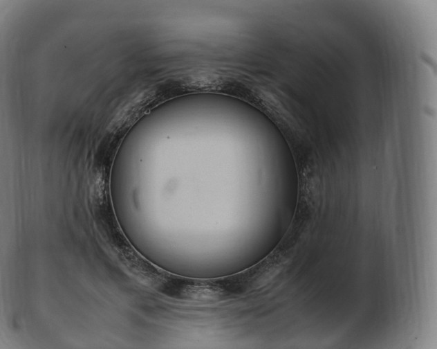 X0000103330597200809121212