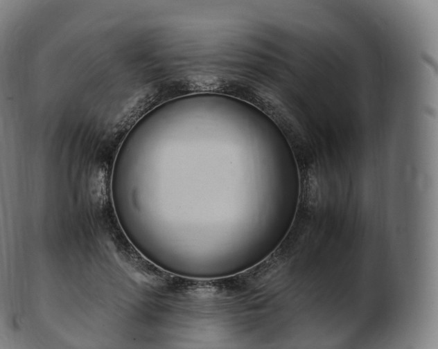 X0000103330598200809121212