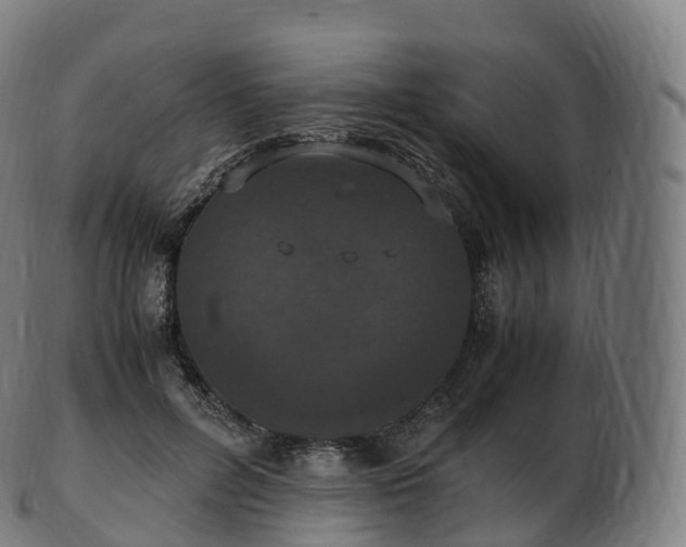 X0000103330600200809121212