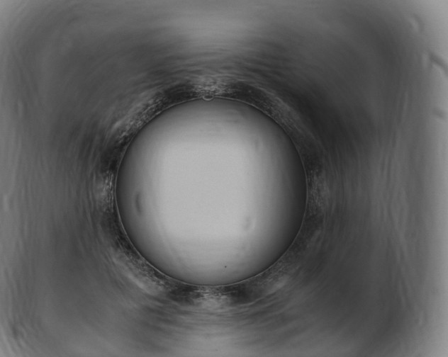 X0000103330601200809121212