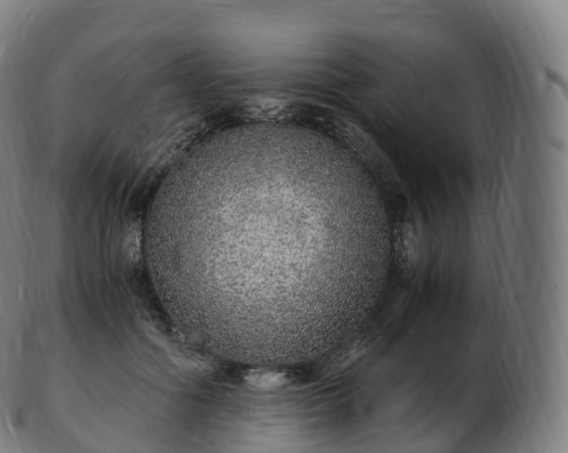 X0000103330602200809121212