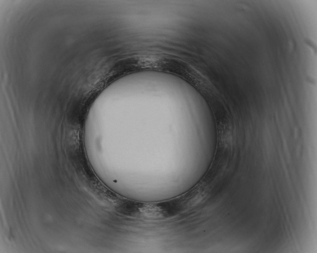 X0000103330603200809121212