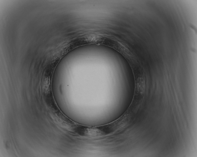 X0000103330605200809121212