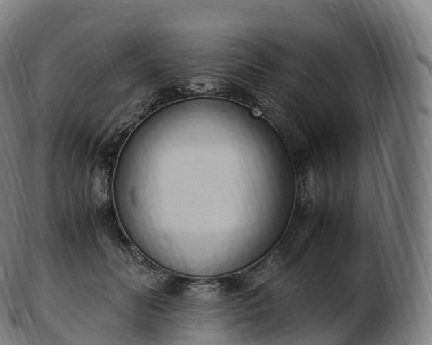 X0000103330606200809121212