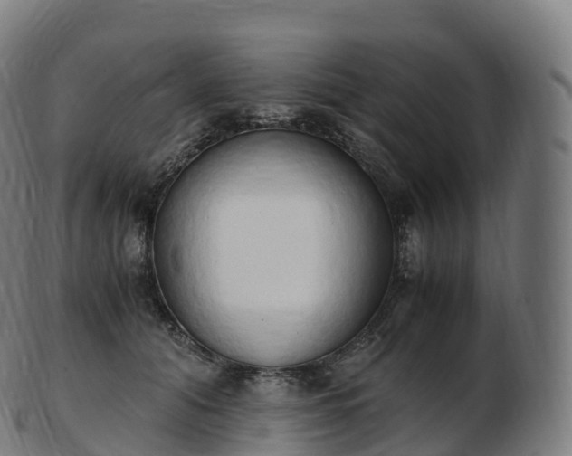 X0000103330608200809121212