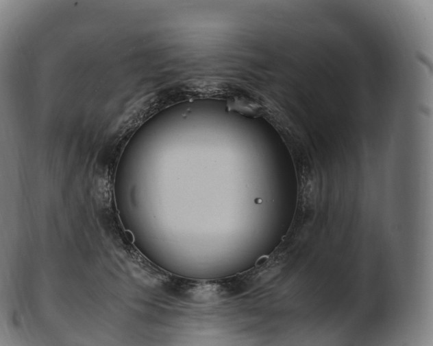 X0000103330609200809121212