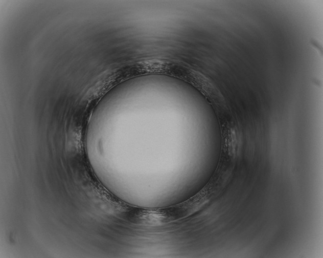 X0000103330610200809121212