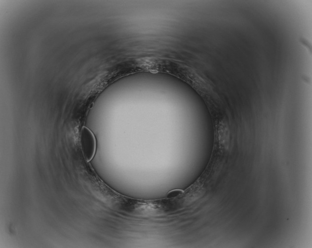 X0000103330611200809121212