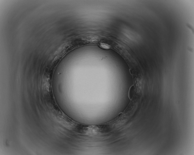 X0000103330612200809121212