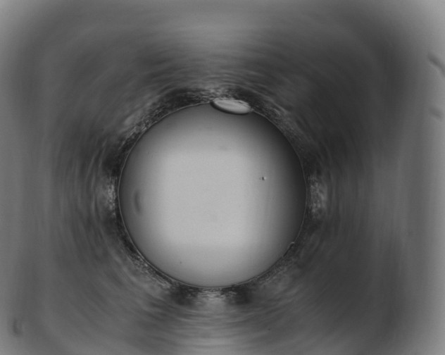 X0000103330613200809121212