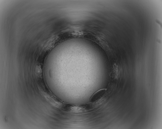 X0000103330614200809121212