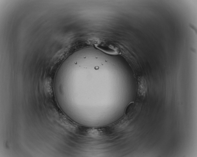 X0000103330616200809121212