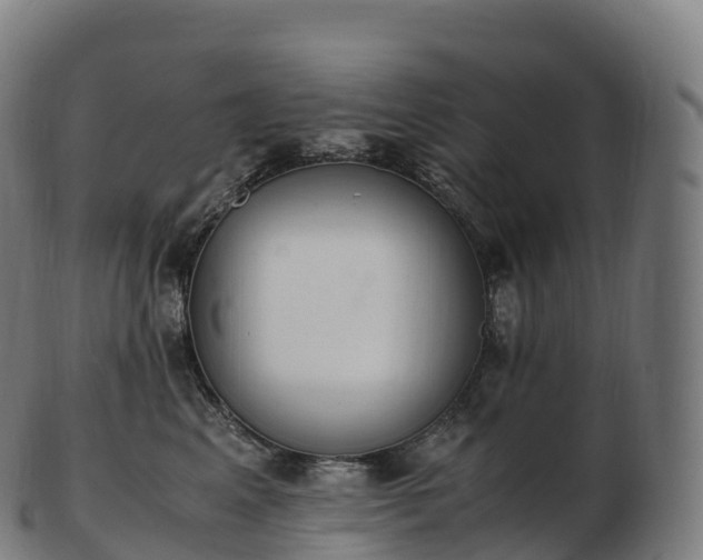 X0000103330617200809121212