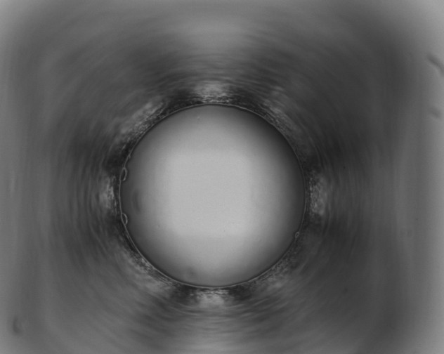 X0000103330618200809121212